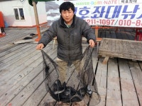 바다낚시 > 점주선장조황 > 12월 18일[일]백호좌대-좌대낚시터 조황사진