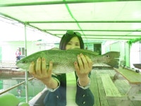 바다낚시 > 점주선장조황 > [남용호] 6월 5일 금요일 좌대 조황 소식