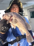 바다낚시 > 점주선장조황 > 12일 군산▶▶오전배◀◀시간배 마감조황!!-새만금선단 12일 군산▶▶오전배◀◀시간배 마감조황새만금선단
