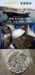 바다낚시 > 점주선장조황 > 구산면 도다리 조황 구산면 도다리 조황