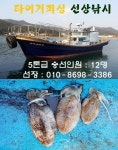 바다낚시 > 점주선장조황 > 구산면 타이거 선장 조황 구산면 타이거 선장 조황