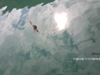 바다낚시 > 점주선장조황 > 통영 풍화리 주안레저 오늘 조황 및 이벤트 안내