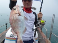 바다낚시 > 점주선장조황 > (지월호) 참돔 오늘 오전낚시 조황 입니다