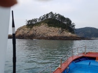 바다낚시 > 점주선장조황 > 약산면 득암항 바다호,감성돔3수 4수등등 약산면 득암항 바다호감성돔3수 4수등등
