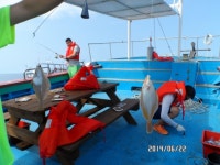 바다낚시 > 점주선장조황 > 21인승 비너스호 오후 가자미 낚시 조황소식 21인승 비너스호 오후 가자미 낚시 조황소식