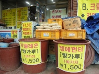 바다낚시 > 점주선장조황 > ★★온산권 벵에 & 빵가루 할인 ★★ ★★온산권 벵에  빵가루 할인 ★★