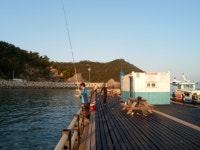 바다낚시 > 점주선장조황 > 미조바다낚시터 조항!!! 미조바다낚시터 조항