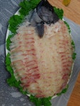 바다낚시 > 점주선장조황 > 월내 울랄라피싱 4짜돌돔 & 농어 조황입니다 월내 울랄라피싱 4짜돌돔  농어 조황입니다