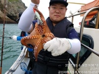 바다낚시 > 점주선장조황 > 군산 문어낚시 군산서해피싱호 10/6(금) 문어 조황정보 군산 문어낚시 군산서해피싱호 106금 문어 조황정보
