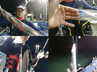 바다낚시 > 점주선장조황 > 28일 내만갈치 조황입니다.(예약가능)