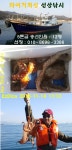 바다낚시 > 점주선장조황 > 구산면 타이거 문어