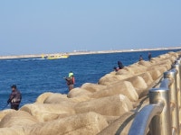 바다낚시 > 점주선장조황 > 개업인사