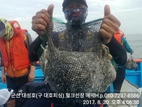군산 대성호 쭈꾸미 망탱이 대박 문어 굿 조황(구 대호피싱 헐크선장) 830일 군산 대성호 쭈꾸미 망탱이 대박 문어 굿 조황구 대호피싱 헐크선장