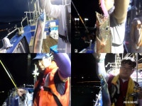 바다낚시 > 점주선장조황 > 내만갈치 엄청나게 올라옵니다.매일출항(예약가능)