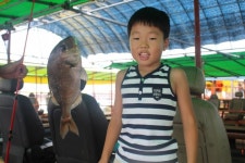 바다낚시 > 점주선장조황 > [남용호]  9월 6일 화요일 좌대조황 소식 남용호 9월 6일 화요일 좌대조황 소식