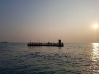 바다낚시 > 점주선장조황 > 수상좌대 낚시터(낚시공원)