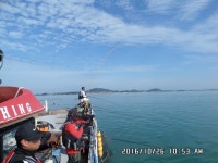 바다낚시 > 점주선장조황 > 2016.10.26.무안 포인트 호 조황 20161026무안 포인트 호 조황