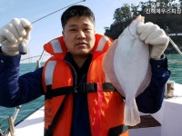 바다낚시 > 점주선장조황 > 왕도다리 오후 출조에 이만큼 ~~~