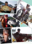 바다낚시 > 바다낚시 헤드라인 > 추자군도 돌돔낚시 피크 시즌 초읽기 돌입! 추자군도 돌돔낚시 피크 시즌 초읽기 돌입