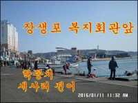 바다낚시 > 점주선장조황 > ♣ 1월11일 울산 장생포 젓갈용 새사리전어 조황 ♣