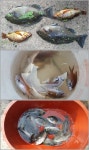 바다낚시 > 점주선장조황 > 기장.일광권 매장 근처 갯바위,방파제 조황과 선상 낚시 14일 조황
