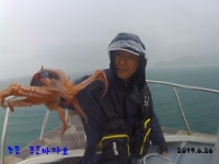 바다루어 > 바다루어 헤드라인 > 고흥 녹동앞바다 문어 수중전! 고흥 녹동앞바다 문어 수중전