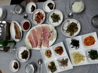 바다낚시 > 동호회조황 > 거문도 영등 대물참돔 시작입니다 거문도 영등 대물참돔 시작입니다