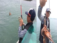 바다루어 > 바다루어 헤드라인 > 남해 갈화리앞바다에 문어 에깅 바람 분다! 남해 갈화리앞바다에 문어 에깅 바람 분다