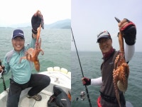 바다루어 > 바다루어 헤드라인 > 남해 갈화리앞바다에 문어 에깅 바람 분다! 남해 갈화리앞바다에 문어 에깅 바람 분다