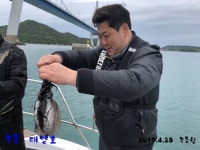 바다루어 > 점주선장조황 > 녹동 푸른바다/태양호 4월 28일 녹동항 갑돌이 추적