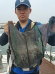 바다루어 > 점주선장조황 > 8/12 군산k1낚시 주꾸미 망태기 조황 .!!!! 812 군산k1낚시 주꾸미 망태기 조황 