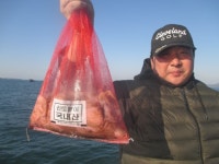 바다루어 > 점주선장조황 > 뉴포세이돈호11월09일 쭈꾸미 굿 굿 조황~^^ 뉴포세이돈호11월09일 쭈꾸미 굿 굿 조황