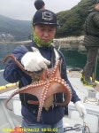 바다루어 > 점주선장조황 > 돌문어 실시간~ 돌문어 실시간