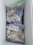 바다루어 > 점주선장조황 > 9/2 평화호 마릿수 손맛 조황 92 평화호 마릿수 손맛 조황