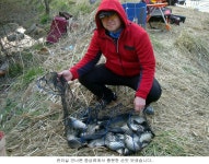 민물낚시 > 점주조황 > 신봉지 봄붕어가 반겨줍니다.. 신봉지 봄붕어가 반겨줍니다