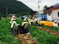         포토갤러리 상세보기 < DIT 갤러리 상세보기 < DIT Cast < DIT동의과학대학교(DONG-EUI INSTITUTE OF TECHNOLOGY) 입학안내    