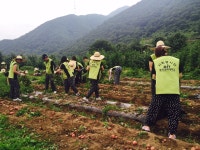         포토갤러리 상세보기 < DIT 갤러리 상세보기 < DIT Cast < DIT동의과학대학교(DONG-EUI INSTITUTE OF TECHNOLOGY) 입학안내    