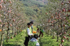         포토갤러리 상세보기 < DIT 생활광장 상세보기 < DIT 광장 < DIT동의과학대학교(DONG-EUI INSTITUTE OF TECHNOLOGY) 입학안내    