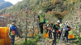         포토갤러리 상세보기 < DIT 생활광장 상세보기 < DIT 광장 < DIT동의과학대학교(DONG-EUI INSTITUTE OF TECHNOLOGY) 입학안내    