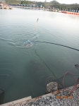 경기도 안산시 단원구 대부북동 642 - 171 번지 전화번호 .. 독도바다낚시터> 독도바다낚시터 조황정보 >  & 독도바다좌대 6월 6일 토요일 조황... 
