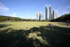 민원여권과(본관1층)(상세) < 민원실안내 < 종합민원안내 < 종합민원 < 포털사이트