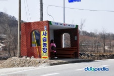 doopedia 두피디아