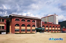 doopedia 두피디아