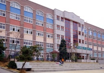 doopedia 두피디아