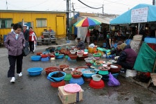 doopedia 두피디아