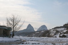 doopedia 두피디아