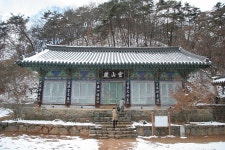 doopedia 두피디아