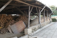 doopedia 두피디아