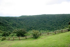 doopedia 두피디아