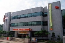 doopedia 두피디아